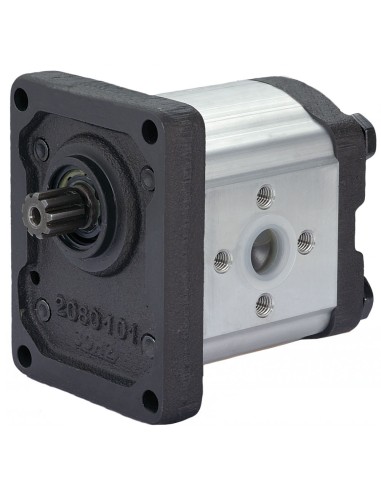 Pompa ad ingranaggi 14 cc Destra GRUPPO 2 max 250 bar Albero Scanalato
