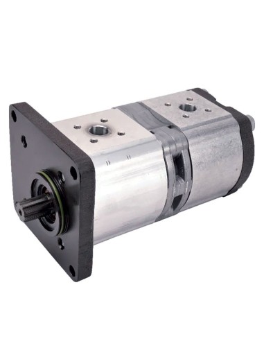 Pompa Idraulica Doppia CNH TLA 2WD
