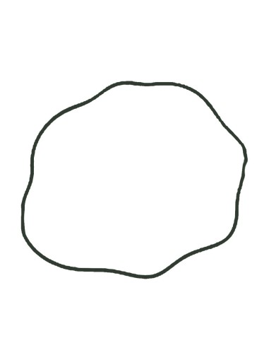 Guarnizione Corona Ruota FIAT 44011100