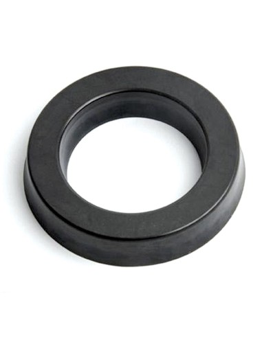 Guarnizione a U Supporto Cilindro FIAT 4952577