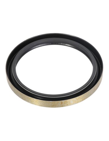 Anello Paraolio 110x135x13mm B1VISLRS