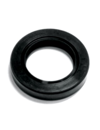Anello Paraolio 35x55x10 mm DT FIAT 40000600