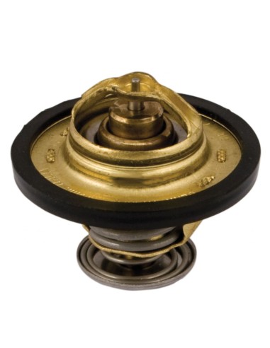 Termostato per Trattore FIAT 4808727