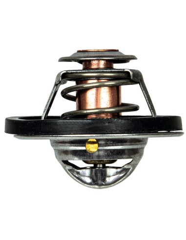 copy of Termostato FIAT 4823211