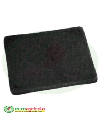 Massa Filtrante Filtro BRIGGS & STRATTON