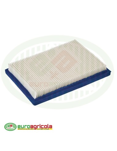 Massa Filtrante Filtro BRIGGS & STRATTON
