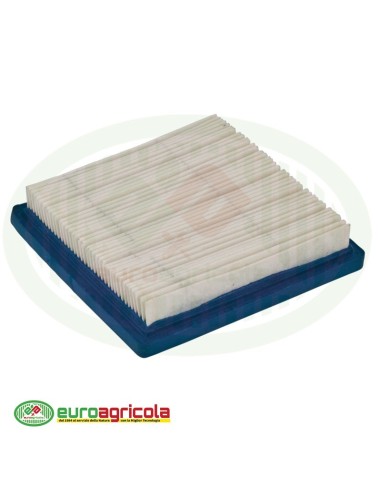 Massa Filtrante Filtro BRIGGS & STRATTON