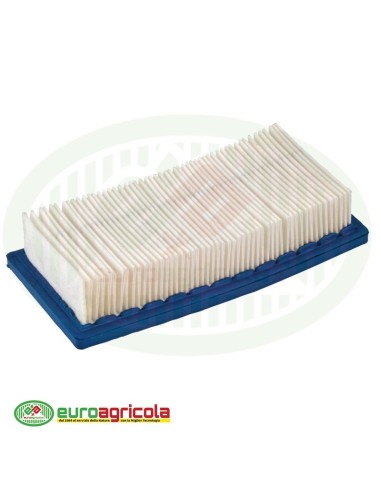 Massa Filtrante Filtro BRIGGS & STRATTON
