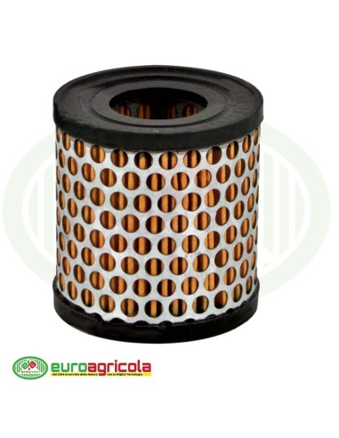Massa Filtrante Filtro BRIGGS & STRATTON