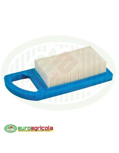 Massa Filtrante Filtro BRIGGS & STRATTON