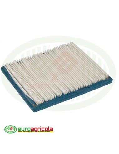 Massa Filtrante Filtro BRIGGS & STRATTON